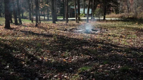 Simmering campfire Stock Footage 289203376