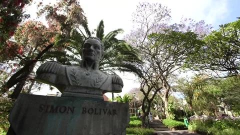Simon Bolivar, Madeira Stock Footage 142130062