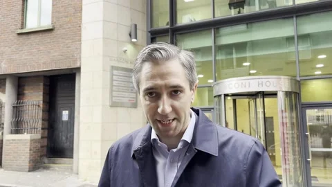 Simon Harris urges voting public to consider government formation when transfer Vídeos de archivo 293687824