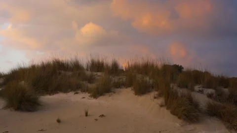 Simos beach sand dunes in Elafonisos island at sunset, in Greece Stock Footage 302668097