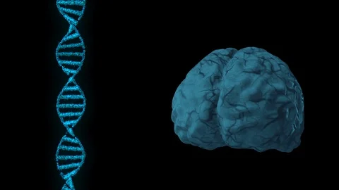 Simple 3D brain and DNA string animation on black background Stock Footage 123410731