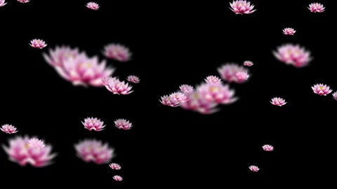 Simple 3d Pink Flower Overlay Alpha - High Quality Stock Footage Stock Footage 310750760