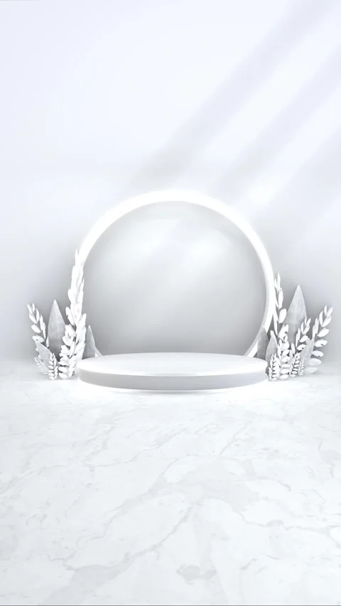 Simple abstract 3D render round circle shape pedestal podium backdrop show .. Stock Footage 317645352