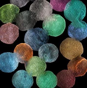 Simple abstract background with bubbles. Watercolor dots (circles). Stock Illustration