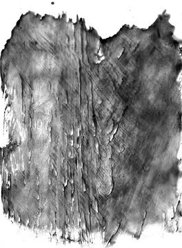 Simple abstract black-white boho background with animal skin Stock Illustration