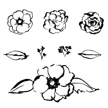 Simple abstract hand drawn doodles. Botanical nature flowers and leaves Stock Illustration
