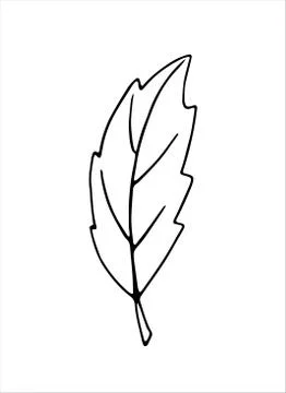 Simple abstract vector leaf. Freehand drawing, nature autumn element in doodl Illustrazione stock