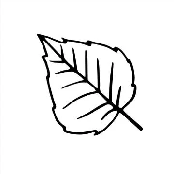Simple abstract vector leaf. Freehand drawing, nature autumn element in doodl Illustrazione stock