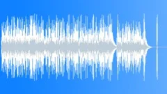 SImple Acoustic Guitar RhythmsStock Music