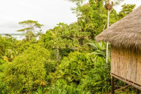 Simple Amazonian Hut Foto stock