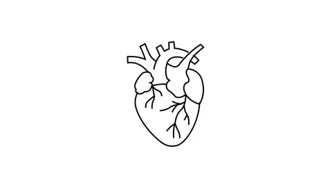 Simple anatomical heart icon representing healthcare, medicine, or biological Stock Footage 304967347