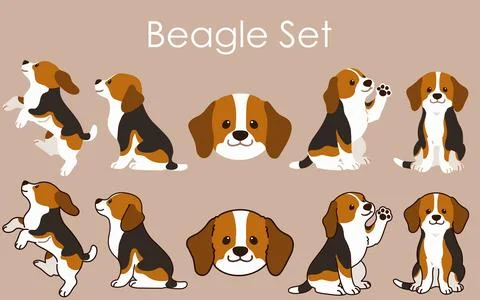 Simple and adorable Beagle illustrations set Stock Illustration
