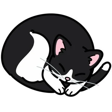 Simple and adorable black and white cat sleeping outlined 库存插图
