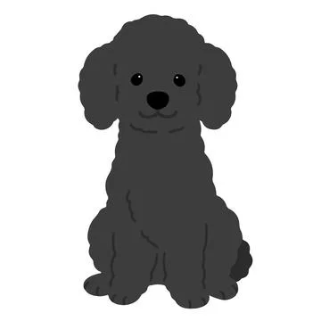 Simple and adorable black colored Poodle dog illustration sitting in front vi Stock Illustration