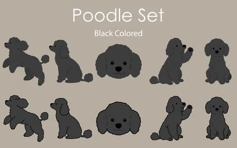 Simple and adorable black colored Poodle set illustrations Stock Illustration
