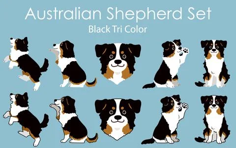 Simple and adorable Black Tri Color Australian Shepherd illustrations set 库存插图