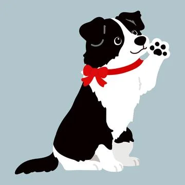 Simple and adorable Border Collie with a red ribbon lifting his paw Stock Illustration