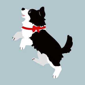 Simple and adorable Border Collie with a red ribbon side jump Stock Illustration