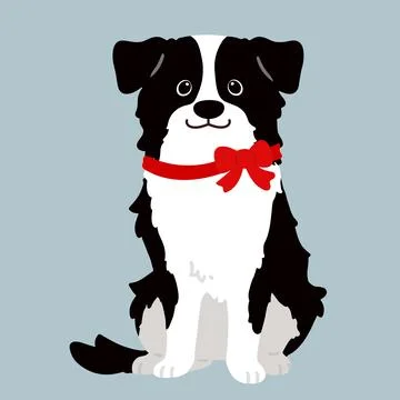 Simple and adorable Border Collie with a red ribbon front sit Stock Illustration