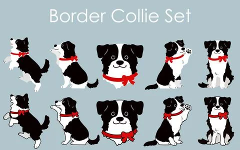 Simple and adorable Border Collie with a red ribbon collar illustrations set Stock Illustration