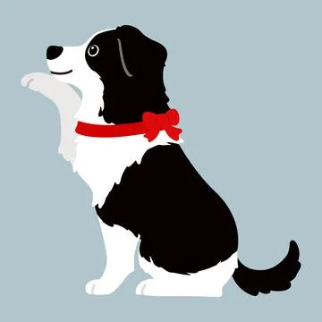 Simple and adorable Border Collie with a red ribbon side sit Stock Illustration