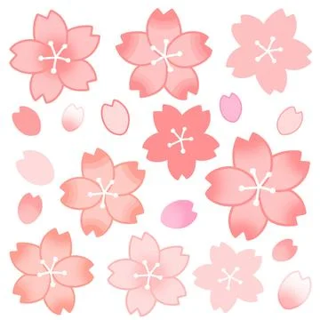 Simple and adorable Cherry blossoms set 스톡 일러스트