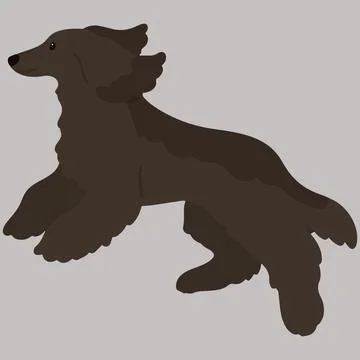 Simple and adorable dark colored Afghan Hound illustration jumping flat color Stock Illustration