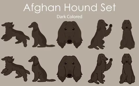 Simple and adorable dark colored Afghan Hound set illustrations Stock Illustration