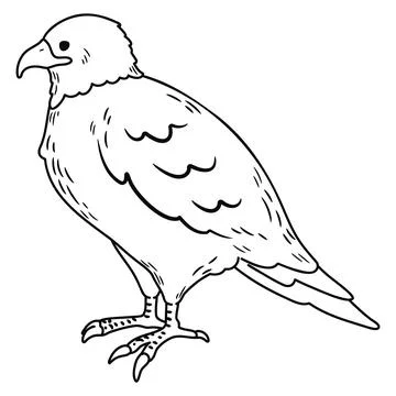 Simple and adorable Eagle illustration with outlines only Stock Illustration