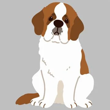 Simple and adorable flat colored Saint Bernard Dog illustration Sitting in .. Stock Illustration