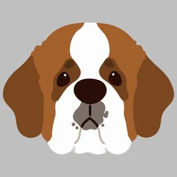 Simple and adorable flat colored Saint Bernard Dog illustration front head Stock Illustration