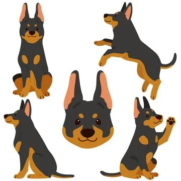 Simple and adorable flat colored illustrations of Doberman Pinscher Stock Illustration