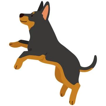 Simple and adorable flat colored illustration of Doberman Pinscher jumping Stock Illustration