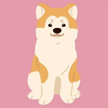 Simple and adorable flat colored Akita Dog sitting in front view Stock Illustration