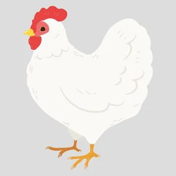 Simple and adorable flat colored white chicken illustration Stock Illustration