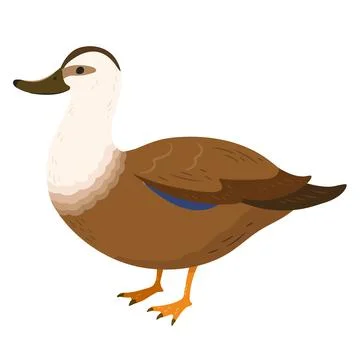 Simple and adorable flat colored Brown Duck illustration Stock Illustration