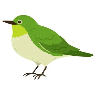 Simple and adorable flat colored Warbling white-eye illustration Stock Illustration