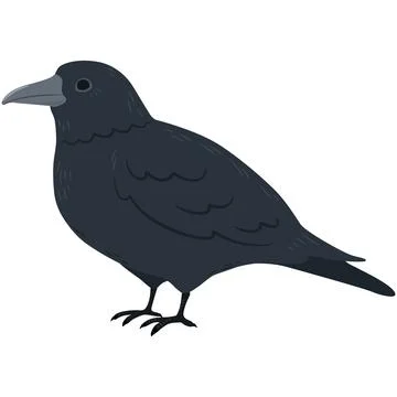 Simple and adorable flat colored Crow illustration Stock Illustration