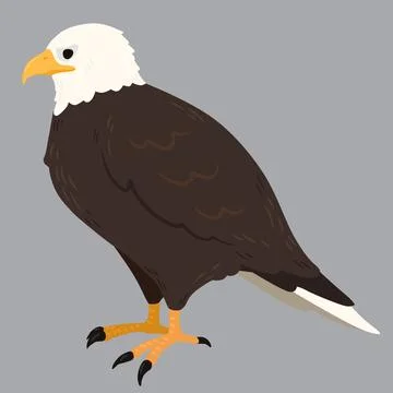 Simple and adorable flat colored Eagle illustration Stock Illustration