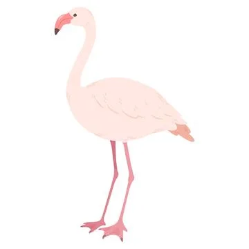 Simple and adorable flat colored pink Flamingo illustration イラスト素材