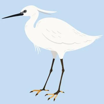 Simple and adorable flat colored Little Egret illustration Stock Illustration