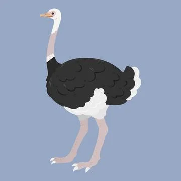 Simple and adorable flat colored Ostrich illustration Stock Illustration