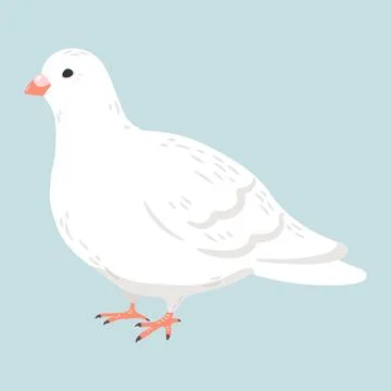Simple and adorable flat colored white Dove illustration Stock Illustration