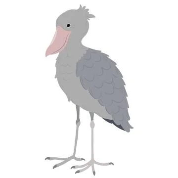 Simple and adorable flat colored Shoebill illustration Stock Illustration