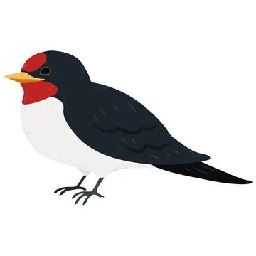 Simple and adorable flat colored Swallow illustration Ilustração Stock