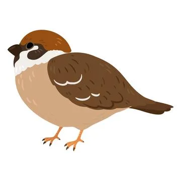 Simple and adorable flat colored Sparrow illustration Stock Illustration