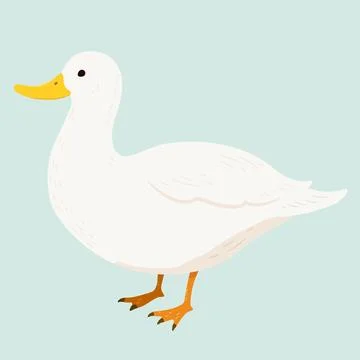 Simple and adorable flat colored White Duck illustration 库存插图
