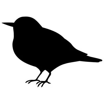 Simple and adorable flat colored Warbling white-eye illustration Stock Illustration