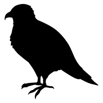 Simple and adorable flat colored Eagle illustration in silhouette Stock Illustration