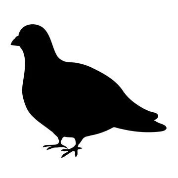 Simple and adorable flat colored Pigeon illustration in silhouette Stock Illustration